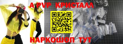 СК Волгодонск
