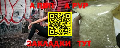 СК Волгодонск
