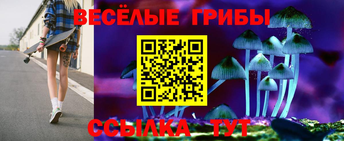Галлюциногенные грибы GOLDEN TEACHER Мирный